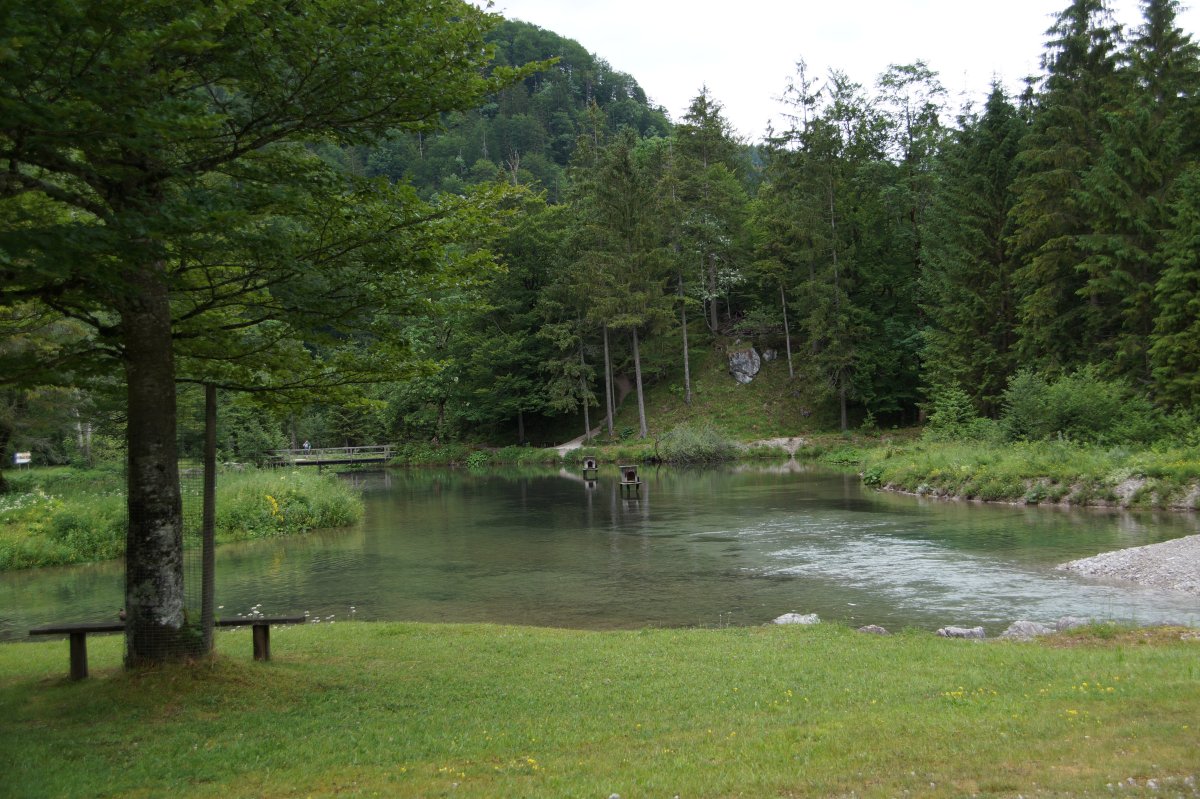 Wildpark 2019